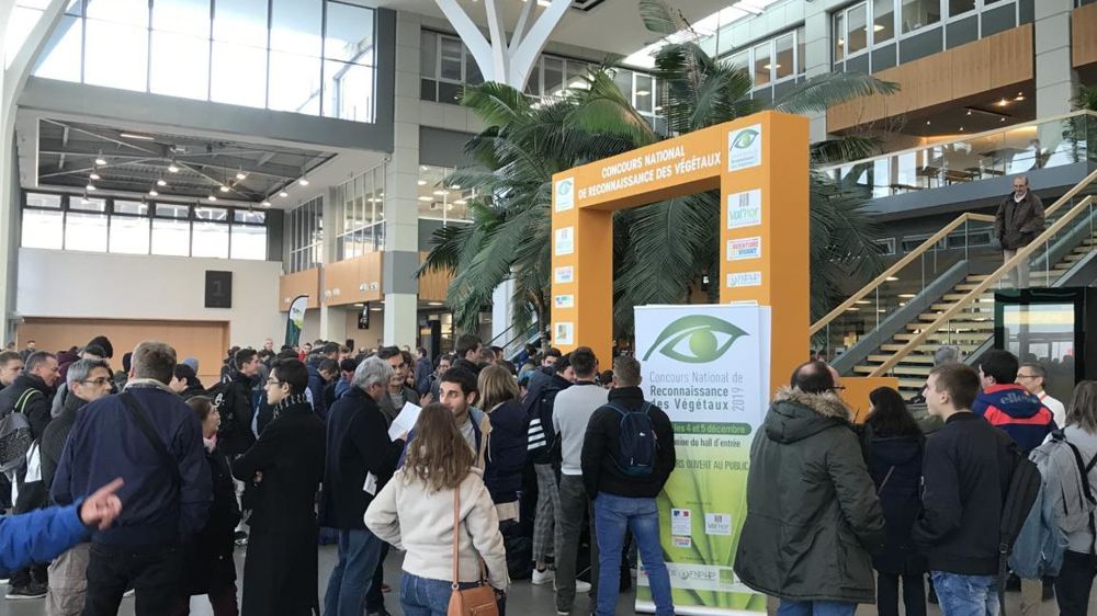 En 2019, 73 apprenants s’étaient qualifiés pour la finale nationale, déjà au Salon Paysalia à Eurexpo Lyon. ©Régis Triollet